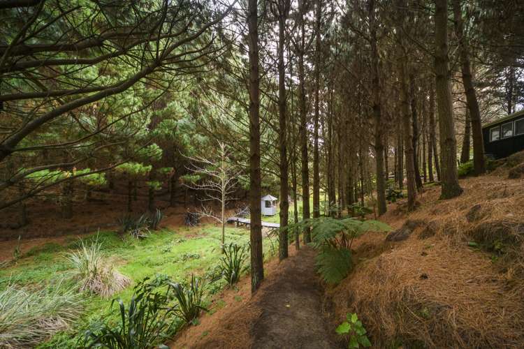 58 County Heights Drive Aokautere_16