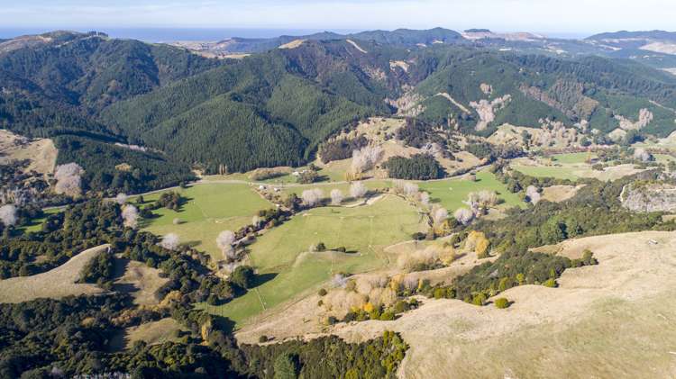 338 Tinui Valley Road Tinui_1