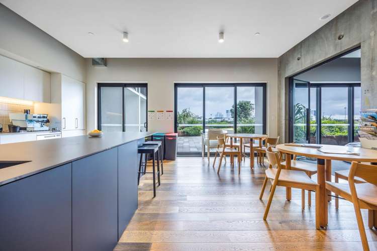 59 France Street Eden Terrace_9