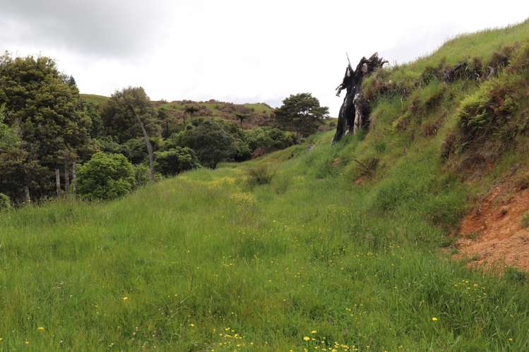 995 Waingaro Road Ngaruawahia_3