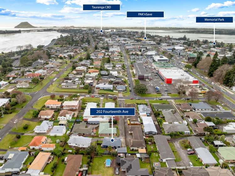 202 Fourteenth Avenue Tauranga South_2