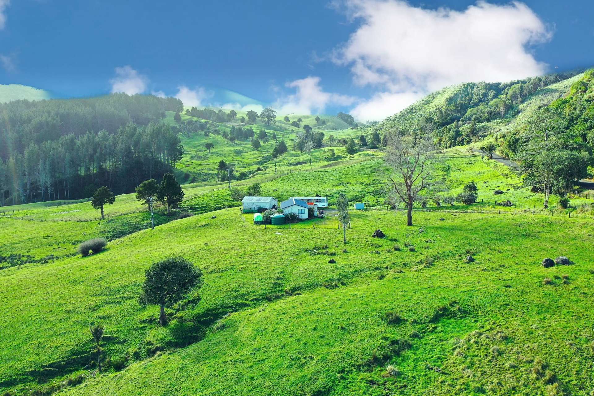 2288 Waihue Road Dargaville Surrounds_0