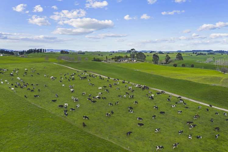 2085a-B Old Taupo Road Putaruru_7