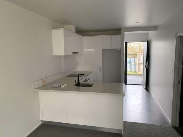 4/36 Blackburn Street Frankton_2