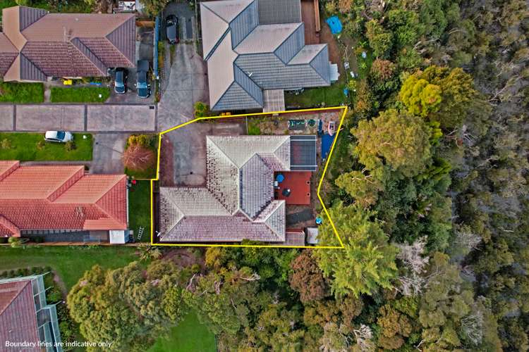 169f Colwill Road Massey_1