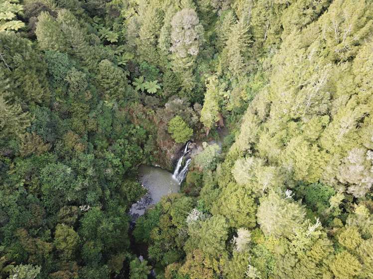 534 Ponga Road Opaheke_29