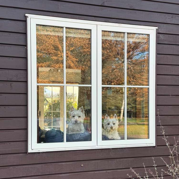 83 Bradys Road Loburn_34