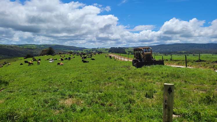 689 Mangatu Road Dargaville Surrounds_17