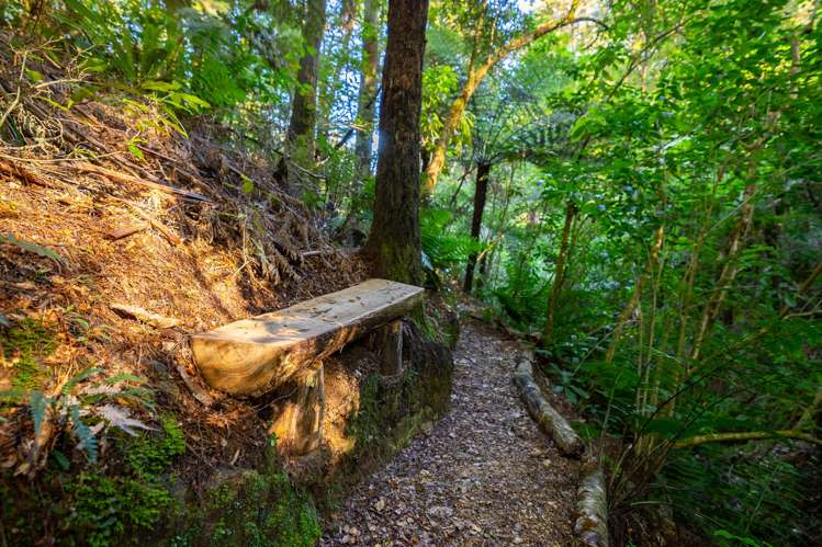 22 Herring Stream Road Motueka Valley_29