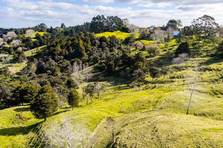 318 Franklin Road Paparoa_43