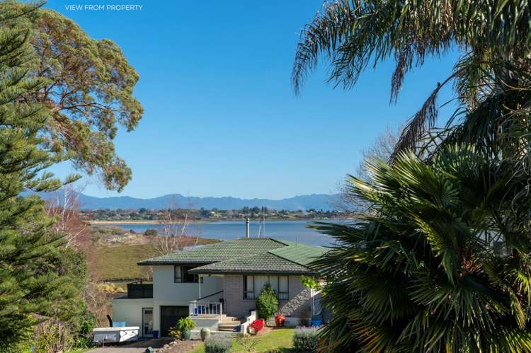 86 Princess Road Bellevue_25