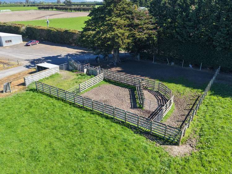 35 Maungatua Road Taieri Plain_29