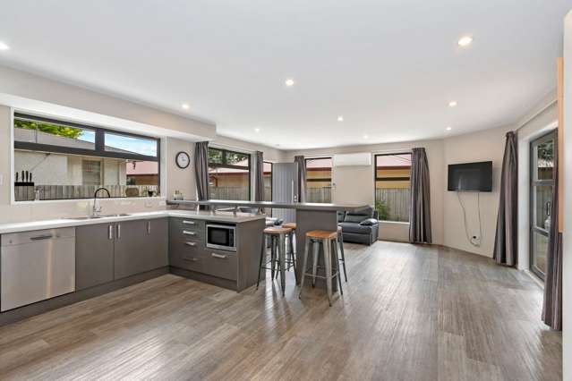 20a English Street Sockburn_3