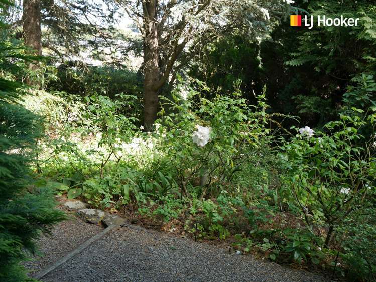 39 Kirkwall Street Palmerston_19