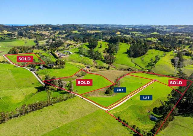 Lot Lots 4, 5/273 -277 Tawa Road Kumeu_1