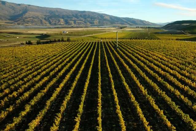 370 Bendigo Loop Road Bendigo_1