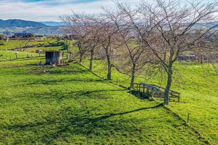 Lot 2/84 Tod Road Otane_11