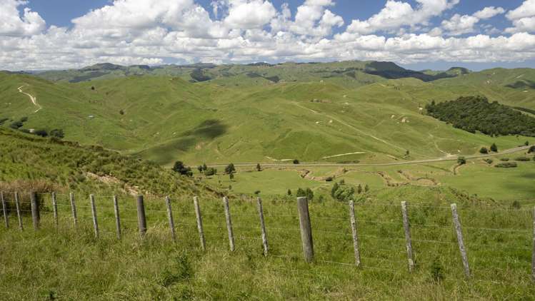 769 Pa Valley Road Eketahuna_8