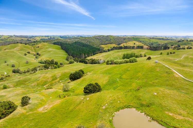 1228a Bull Road Paparoa_22