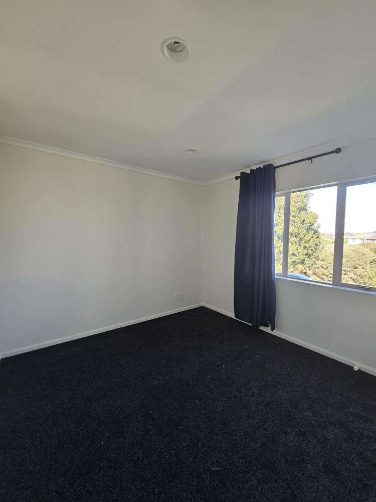 67 Skelligs Drive Flat Bush_15