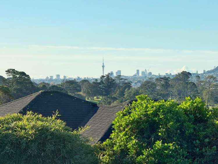 1566B Dominion Road Extension 10044_12