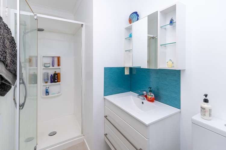 3a Wilkinson Place Cambridge_11