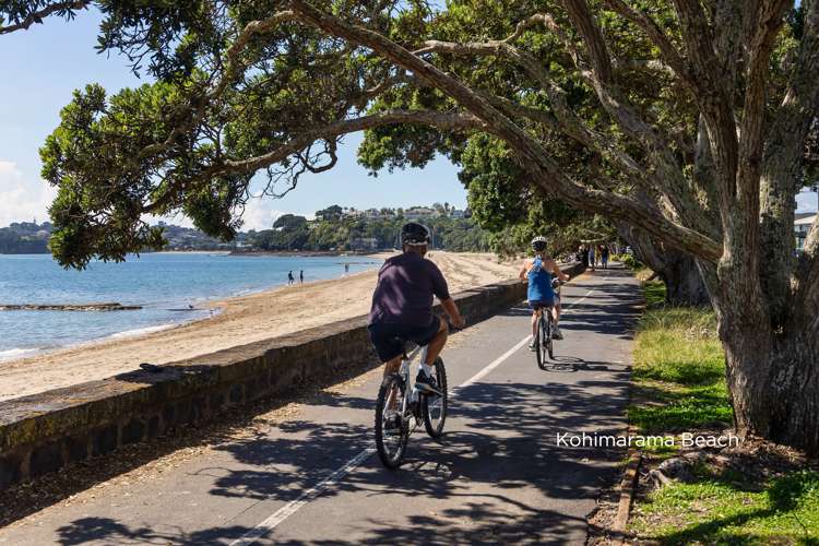 1/12 Piccadilly Place Kohimarama_19