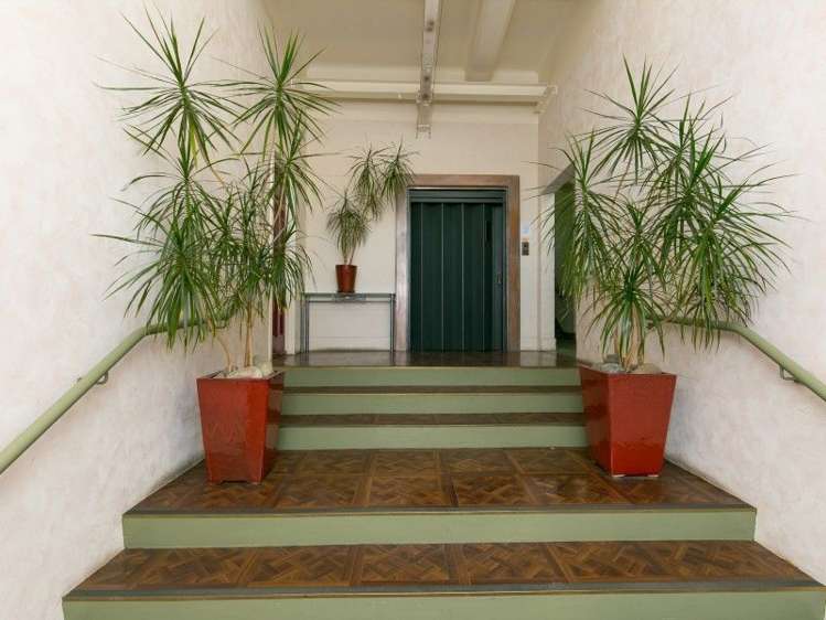 8/37 Majoribanks Street Mount Victoria_2