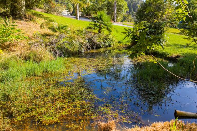 364 Tara Road Mangawhai_35