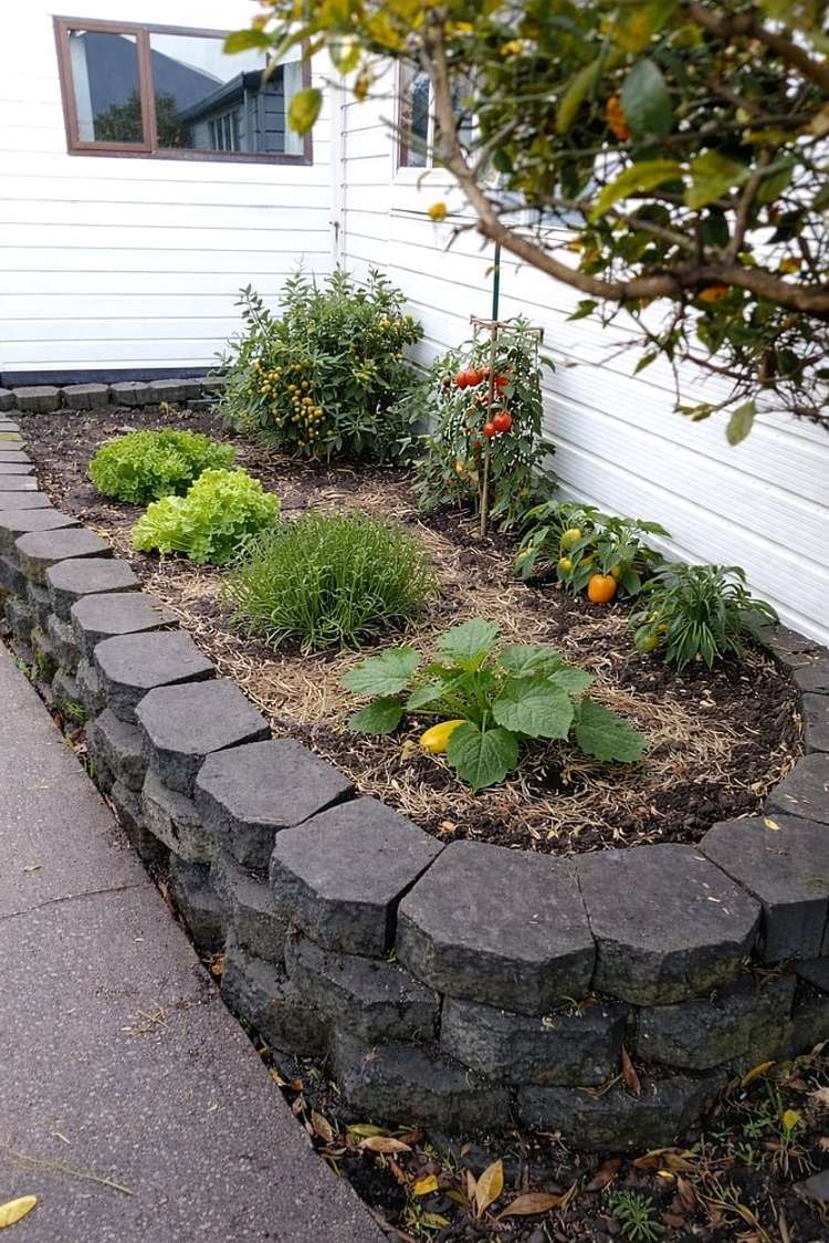 6A Simeon Street Somerfield_13