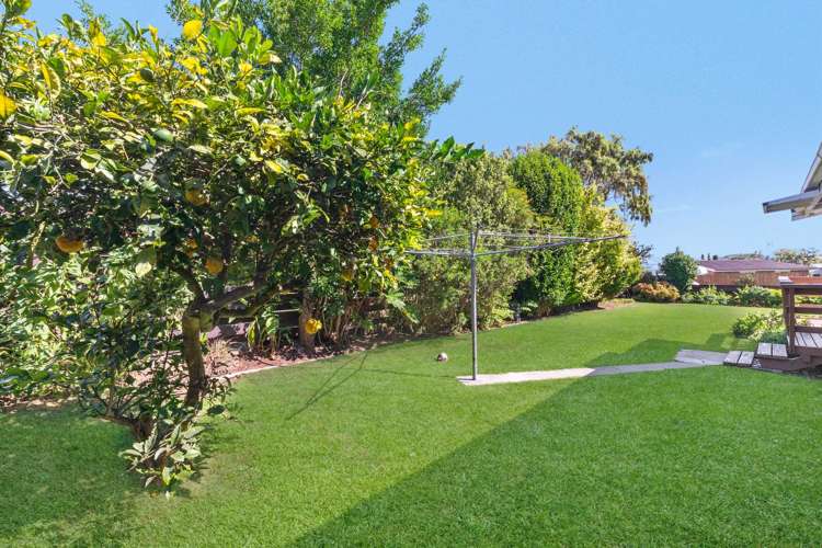 27b Bryce Street Kihikihi_16