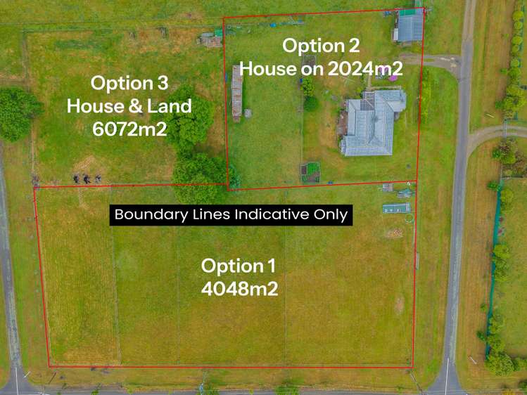 32 Chester Street Hampden_14