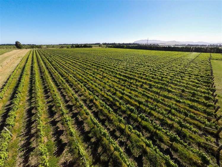 306 Georges Road Amberley_5