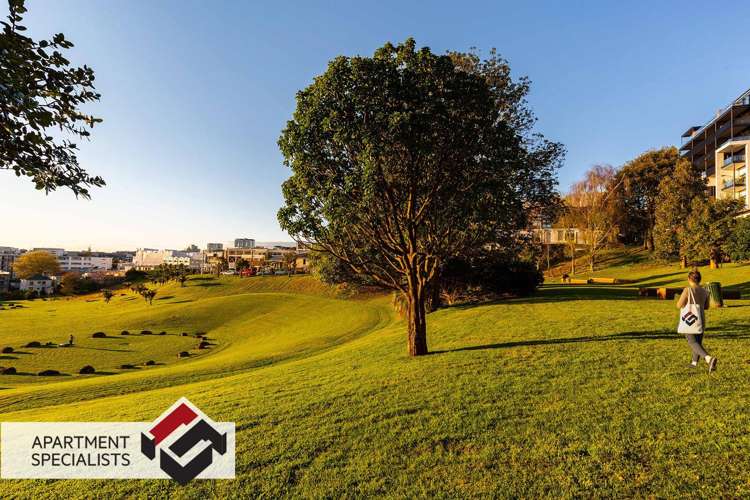 184 Symonds Street Eden Terrace_12