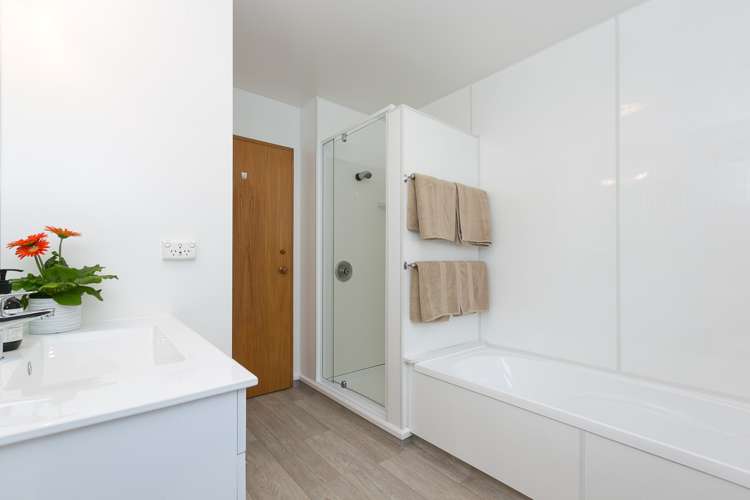 538 Highgate Maori Hill_15