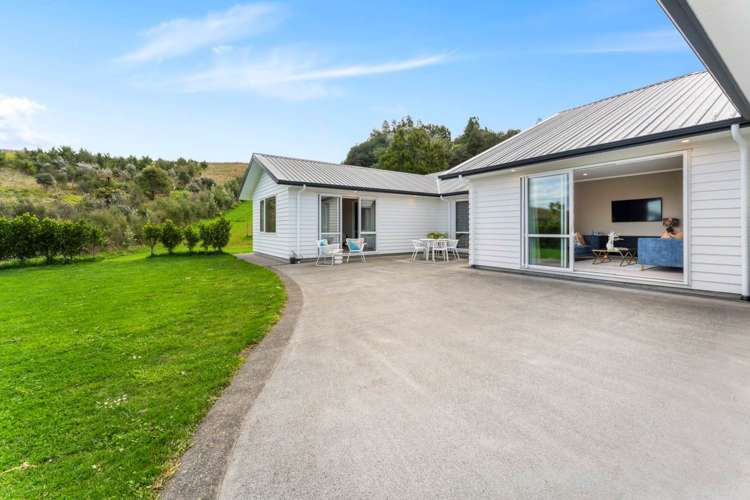 108 Tender Road Dairy Flat_29