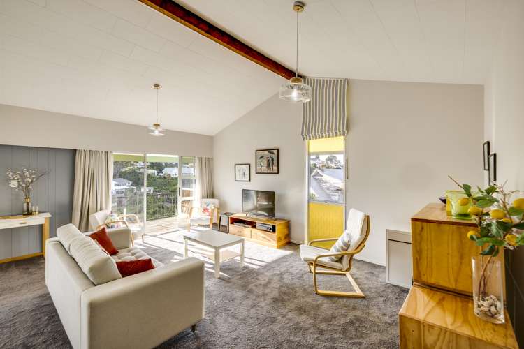 18 Hadfield Terrace Bluff Hill_6