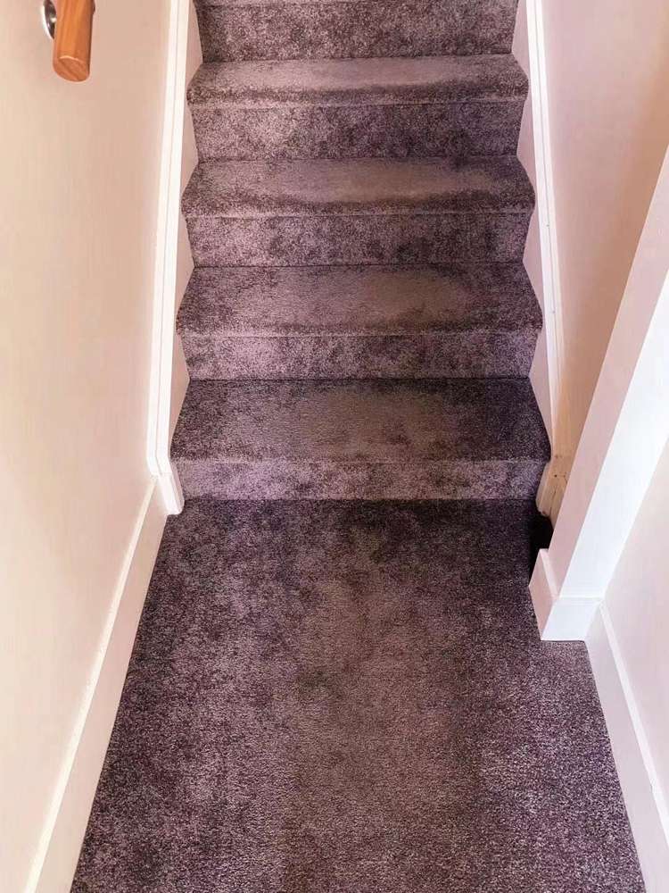 260/26 Te Taou Crescent Auckland Central_18