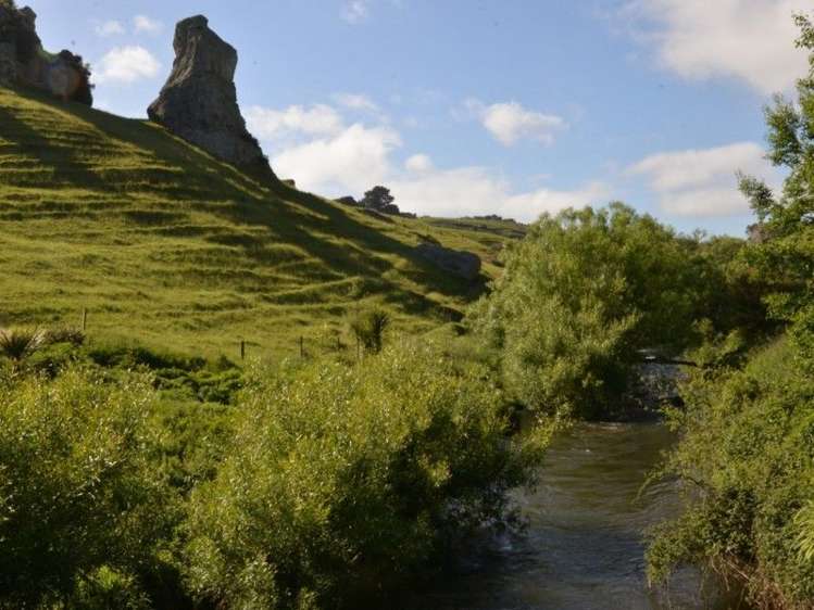 1035 Bayley Road Wharepuhunga_10