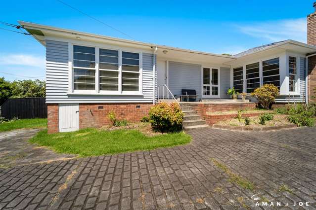 61 Lloyd Avenue Mount Albert_1