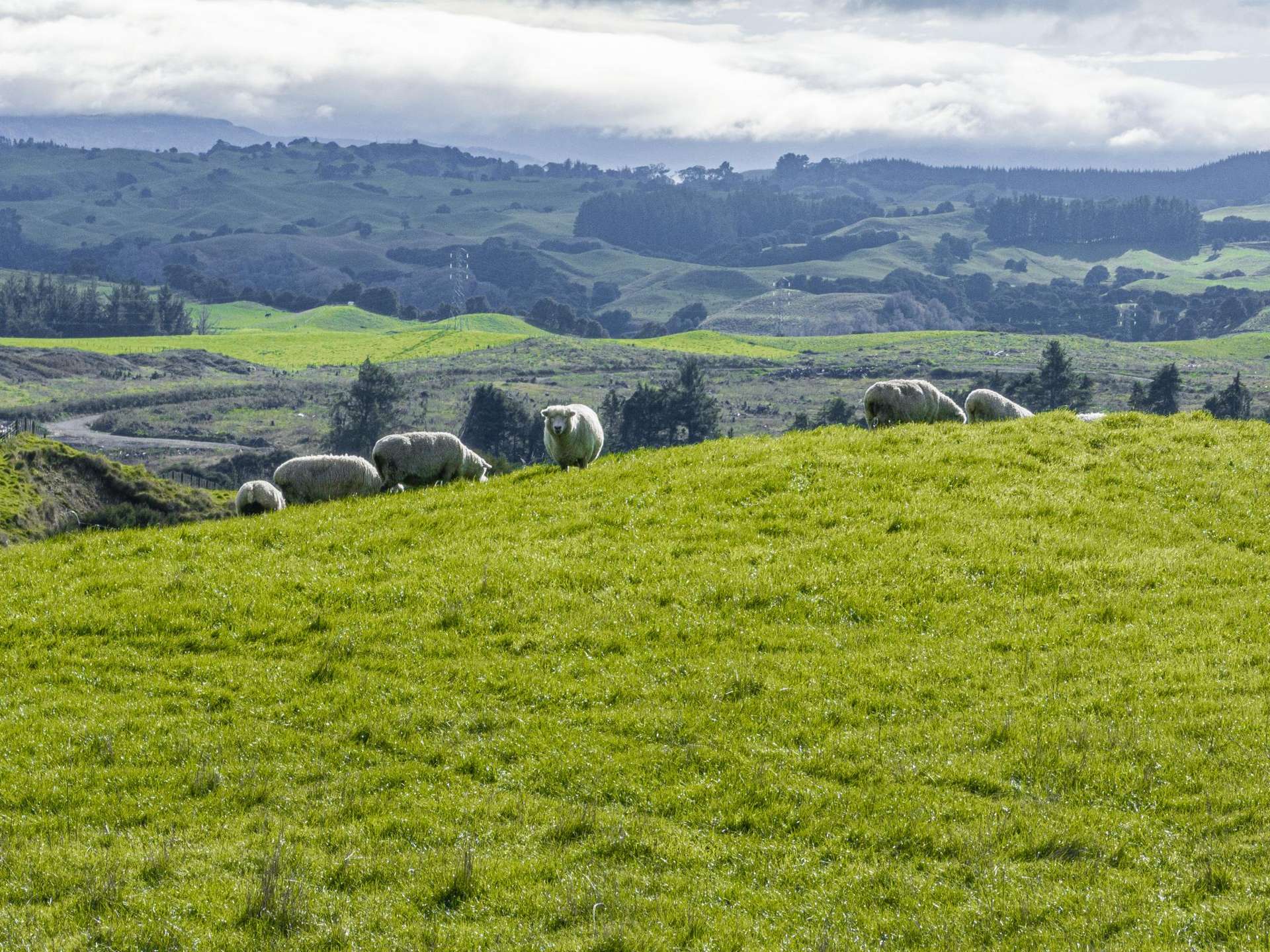 1716 Dartmoor Road Dartmoor_0