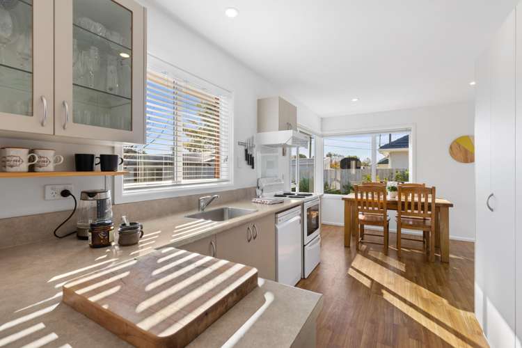 13 Pembroke Street Avondale_3