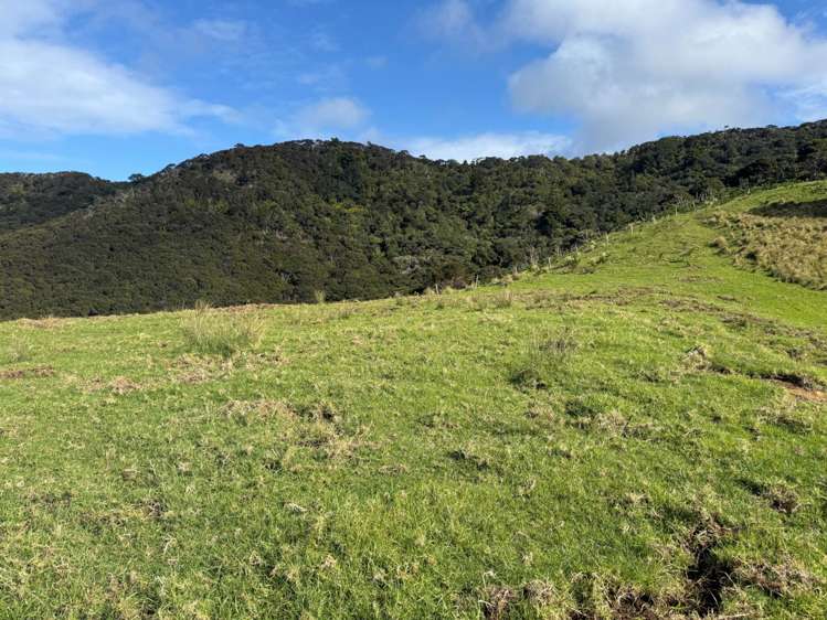 97 Medland Road Great Barrier Island_7