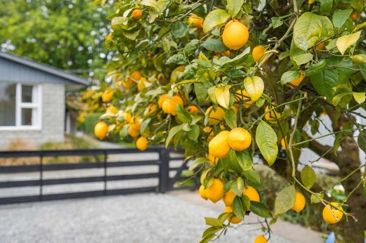 636 Christchurch Akaroa Road Tai Tapu_22