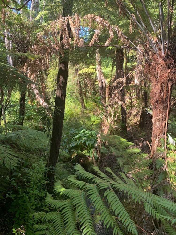 129 Bays Road Orere Point_7