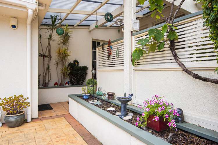 74 Mains Avenue Kensington_6