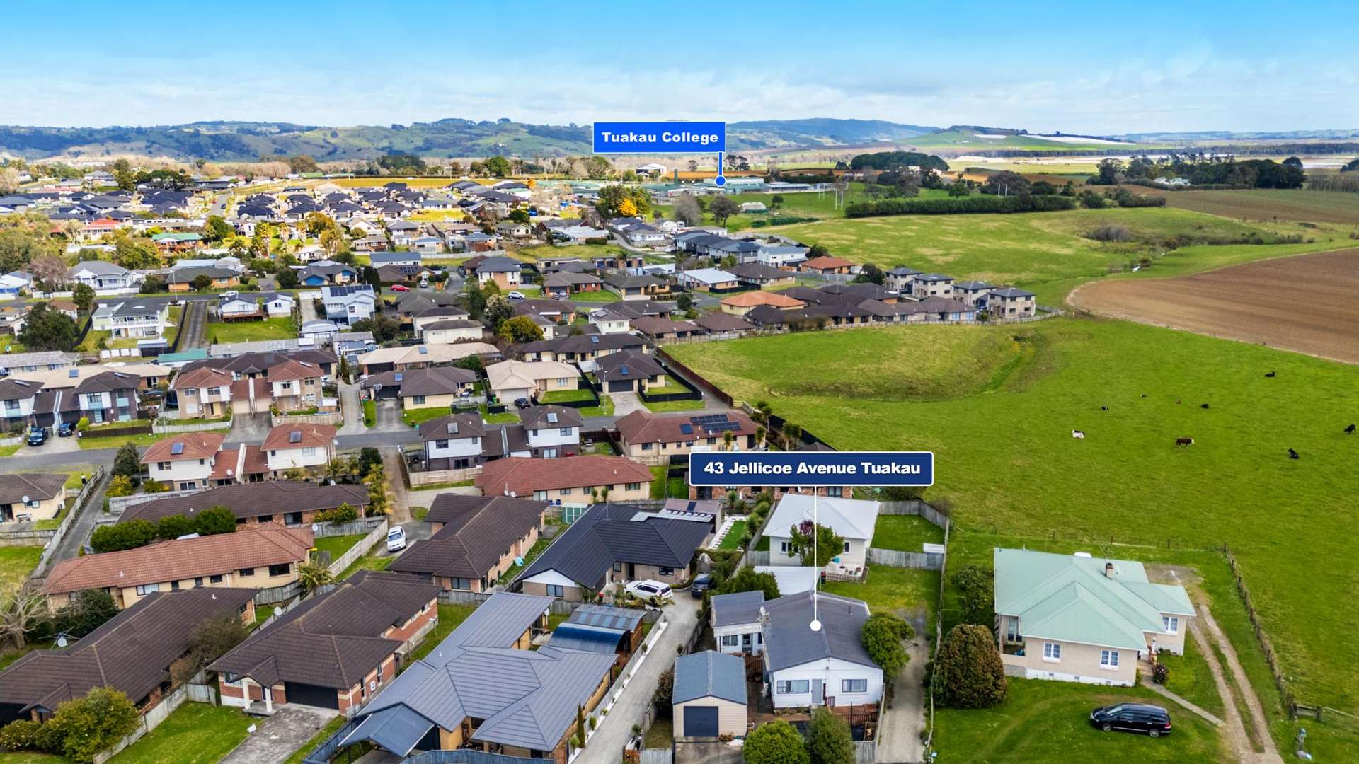43 Jellicoe Avenue Tuakau_0
