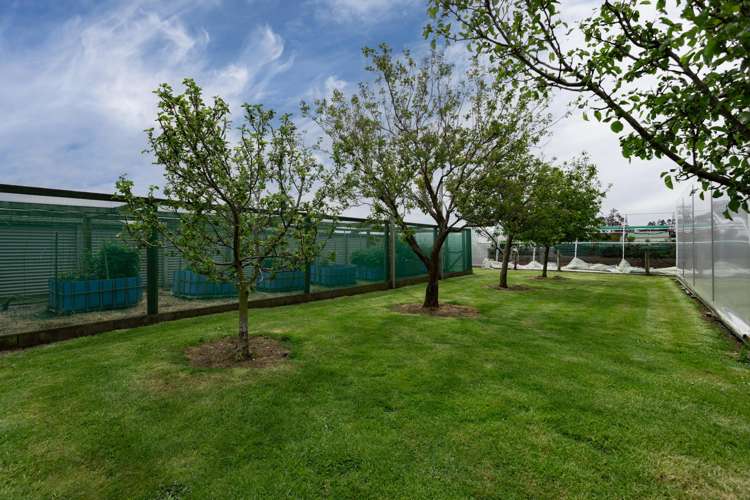 78 East Road Ascot_18