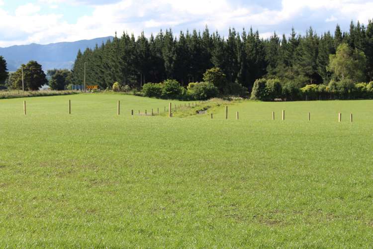 1562 State Highway 2 Kiriwhakapapa_15