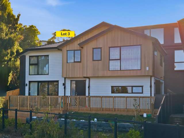 60 Ngatiawa Street One Tree Hill_4